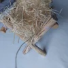 Mini okrasne jasli