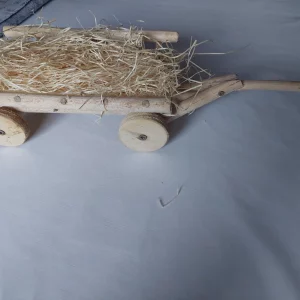 Wooden chariot