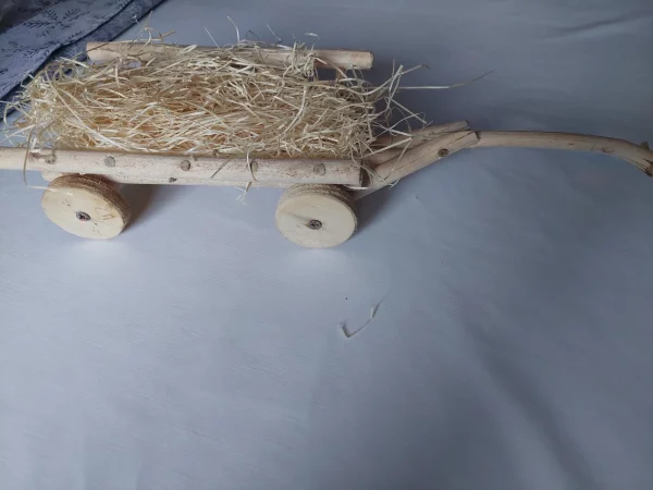 Wooden chariot